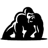 Gorilla Gorille