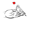 Perruque