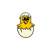 chick