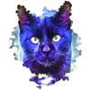 Neonkatze im Lichtregen