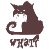 What Pets Cat Gift