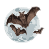 Bat