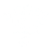 Waves Rider BRTZ