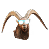 trendy Capricorn