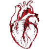 Heart Black and red