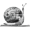 snail