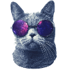cat in glasses