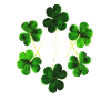 St.Patricks Day Trèfle shamrock Irlande