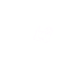 Havanese heartbeat