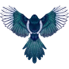 Magpie Wings Spread