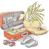 summer vacation