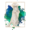 Suricate