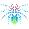 Araignées