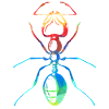 ant