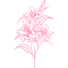 Lily Blossom Plant