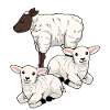 Pecore Pecore Ungulati Agnello Pasqua Montone Mandria