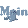 Moin - kleine Robbe