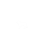 Bernese Mountain Dog Mama