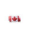 Distressed Canada Maple Flag