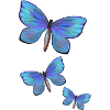Trois papillons
