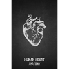 HUMAN HEART Anatomy