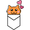 Cat chat pocket