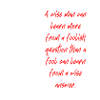Bruce Lee - the myth