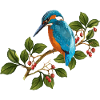 Bunte Vogel