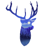 Deer Night Sky