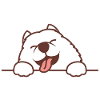Doux chien biscuits