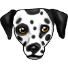 Dalmatian