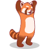 Cute Red Panda