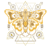 Steampunk Papillon