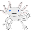 Axolotl