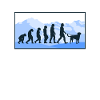 Petit Münsterländer Evolution chiens cadeau