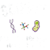 Naturwissenschaft - La science s’en fiche