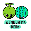Melon