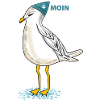Möwe (b)