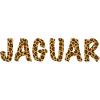 Jaguar Animal Print