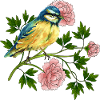 Bunte Vogel