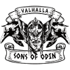 Valhalla Odin Viking