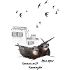 Mauersegler