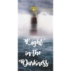 light in the darkness