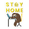 Paresseux fatigué au Homeoffice
