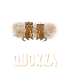 Quokka