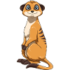 Erdmännchen für einen Erdmännchen Liebhaber