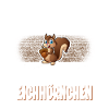 Eichhörnchen