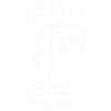 Disc Golf Tree Frisbee Spielspieler