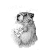 Coffee hamster enjoyment