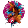Koi Japan Karpe Ornamental Fisk japanske prydfisk